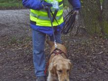 WS Personensuchhunde0105
