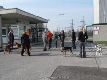 WS Personensuchhunde0117
