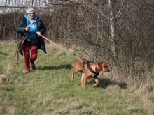 WS Ulli Kellner Mantrailing1