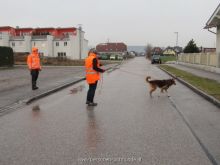 WS Ulli Kellner Mantrailing5