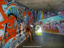 mantrailing-training 31012013 5