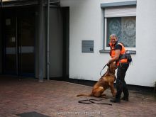 mantrailing einsatztraining 2013 1