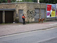 mantrailing einsatztraining 2013 6