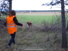 mantrailing kurse 08