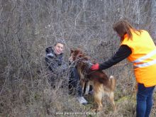 mantrailing kurse 10