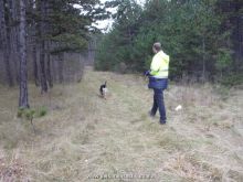 mantrailing kurse 12