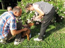 mantrailing training 072013 1