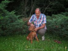 mantrailing training 072013 3