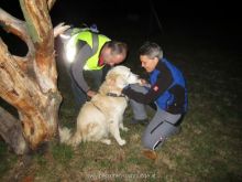 mantrailing training 2013 44