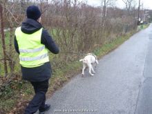 mantrailing ulli-kellner 04