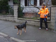 mantrailing ulli-kellner 06