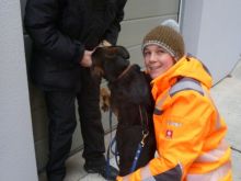 mantrailing ulli-kellner 11