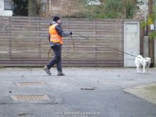 mantrailing ulli-kellner 15