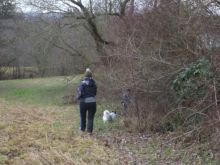 mantrailing ulli-kellner 20