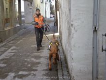 mantrailing ulli kellner07