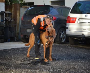 Mantrailing Trainer Ulli Kellner