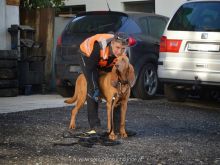 mantrailing ulli kellner19