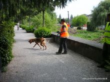 personensuchhunde 2012 03