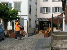 personensuchhunde 2012 09