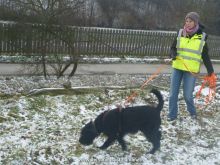personensuchhunde trailen 012013 04