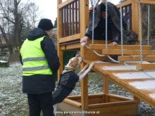 personensuchhunde trailen 012013 14