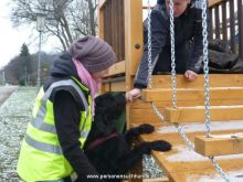 personensuchhunde trailen 012013 15