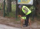 personensuchhunde training03