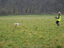 personensuchhunde training04