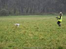 personensuchhunde training04