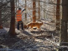 personensuchhunde training07