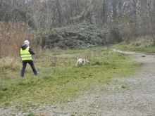 personensuchhunde training10