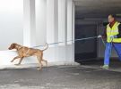 personensuchhunde training17