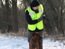 personensuchhunde training22