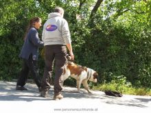 personensuchhunde training24
