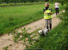 personensuchhunde training26