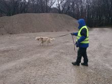 personensuchhunde training33