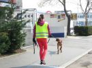 personensuchhunde training38