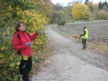 seminar personensuchhund 01