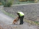 seminar personensuchhund 02