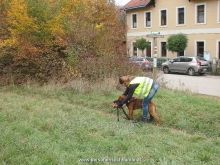 seminar personensuchhund 03