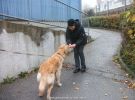 seminar personensuchhund 05
