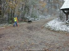seminar personensuchhund 09