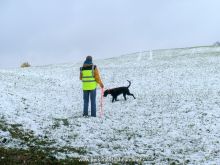 seminar personensuchhund 10