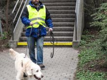 training mantrailen personensuchhunde 100