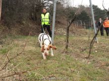 training mantrailen personensuchhunde 130