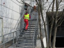 training mantrailen personensuchhunde 208