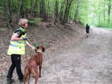 training mantrailen personensuchhunde 246