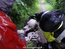 training mantrailen personensuchhunde 266