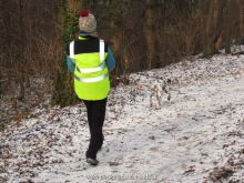 training personensuchhund 08