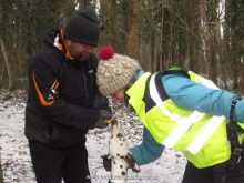 training personensuchhund 09